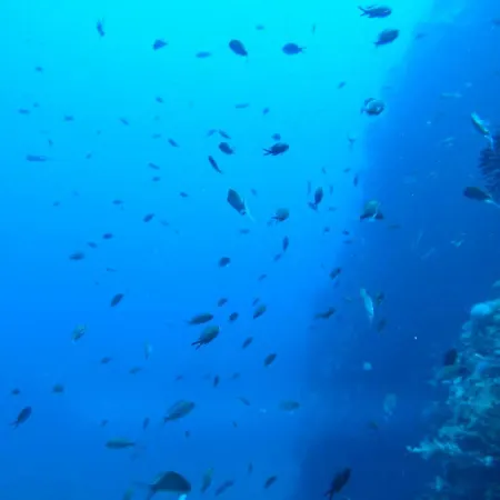 Πανσιόν Cala Dogana Λεβάντσο